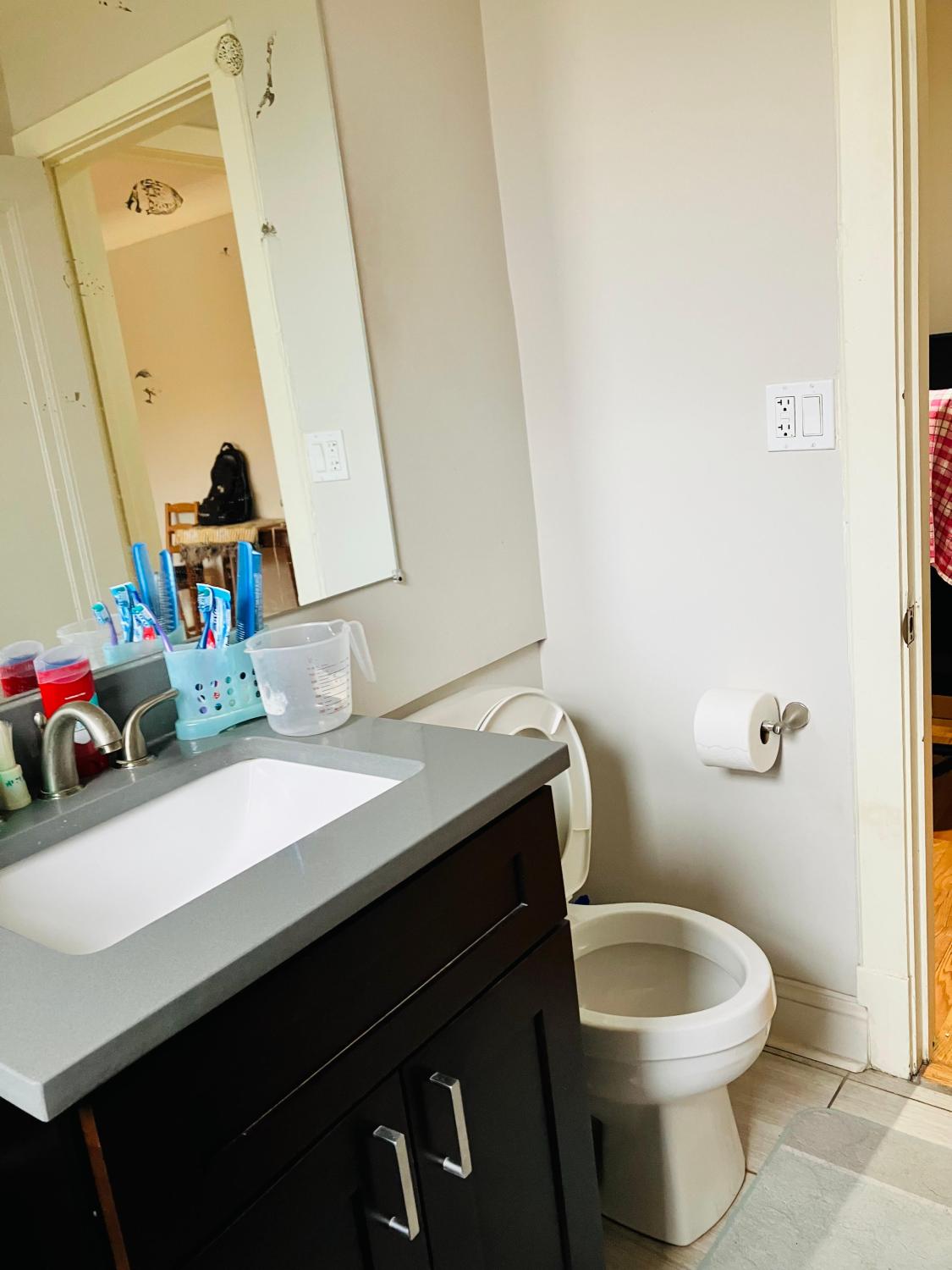 2317.5 N Rockwell St APT 3B Chicago Image 11