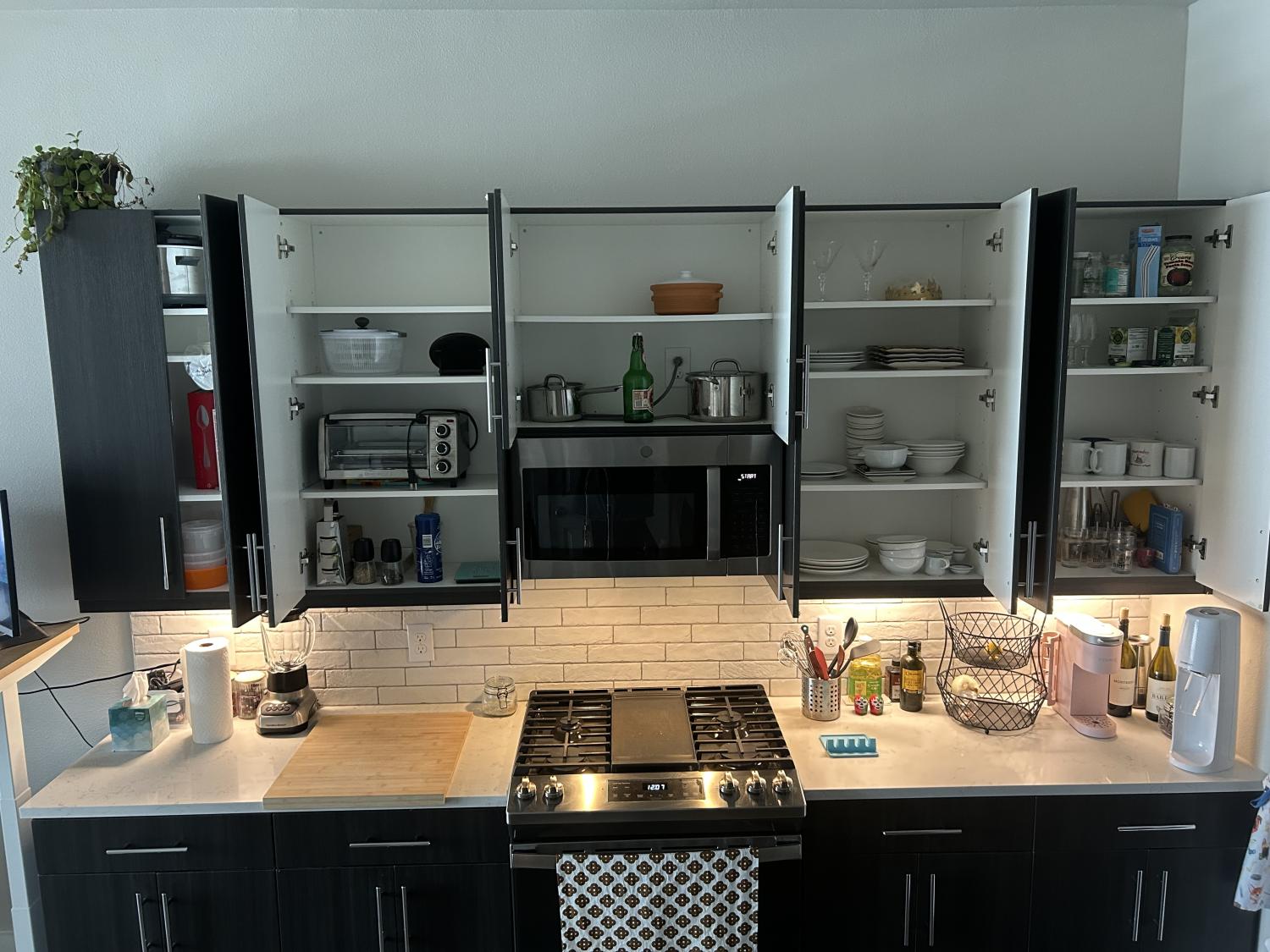 1215 Sawyer Street Houston Image 15