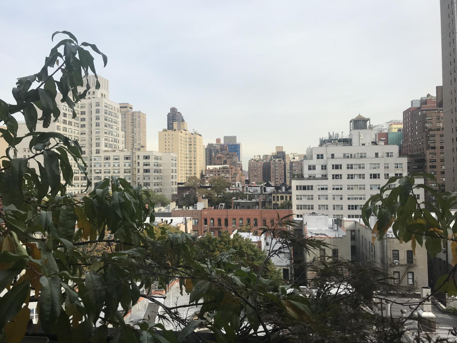 Upper East Side New York Image 10