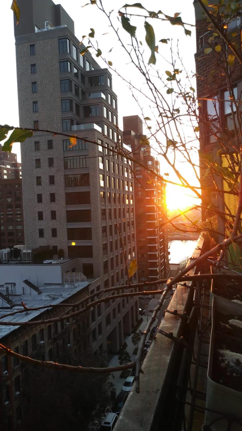 Upper East Side New York Image 4