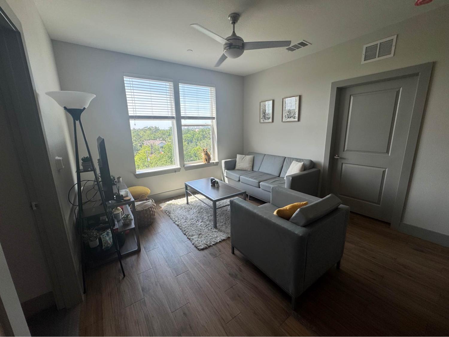 5040 Calhoun Rd Houston Image 5