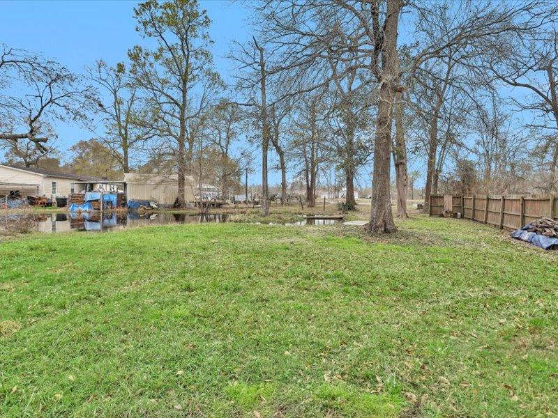 County Road Houston Image 6
