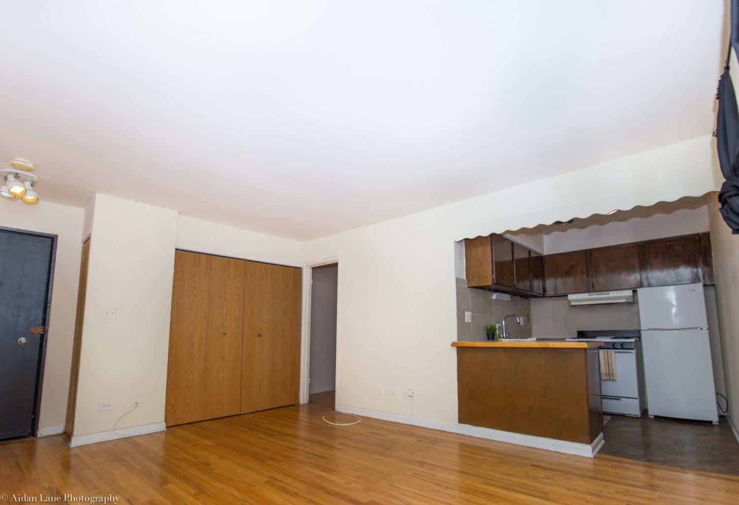 421 W Barry Ave Chicago Image 3
