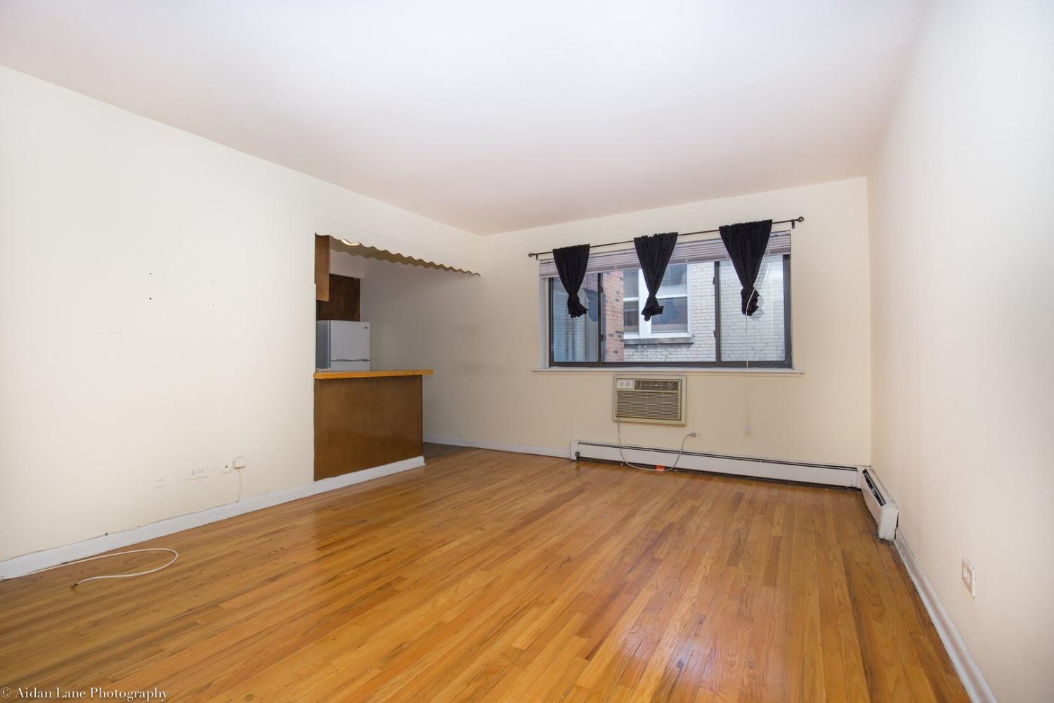 421 W Barry Ave Chicago Image 4