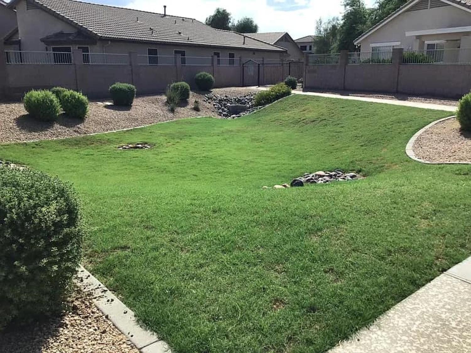 16036 N 11th Ave Phoenix Image 2