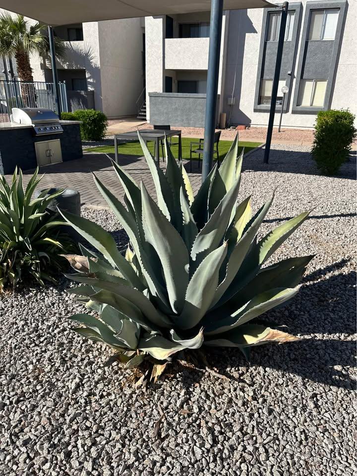 14020 N Black Canyon Hwy Phoenix Image 12